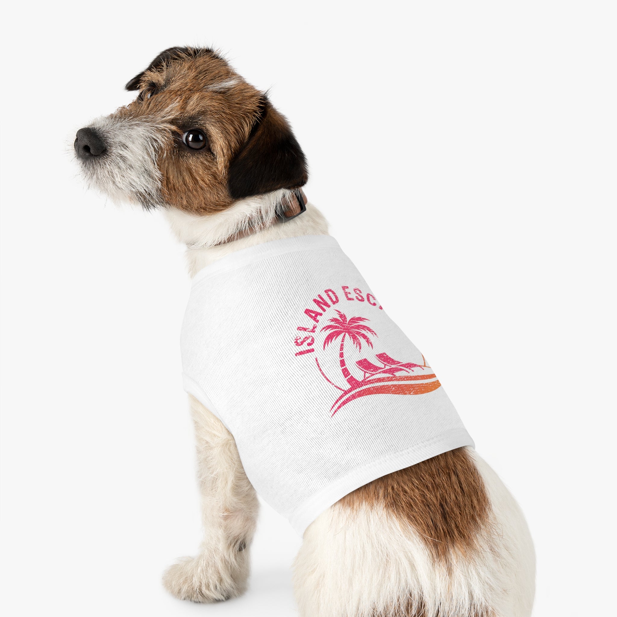 Dog wearing a white shirt with pink paw prints on a white background